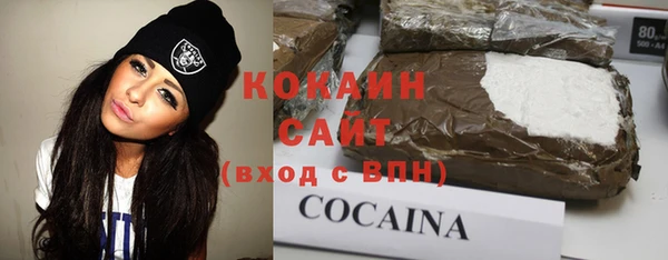 соль ск Абаза