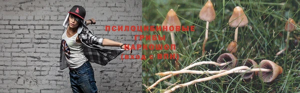 ГАЛЛЮЦИНОГЕННЫЕ ГРИБЫ Абдулино