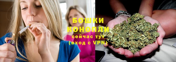 ГАЛЛЮЦИНОГЕННЫЕ ГРИБЫ Абдулино
