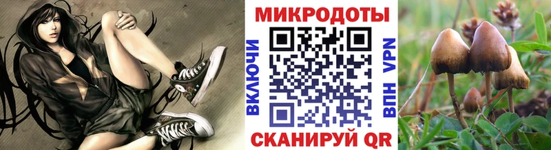 Псилоцибиновые грибы Magic Shrooms  Нижняя Тура 